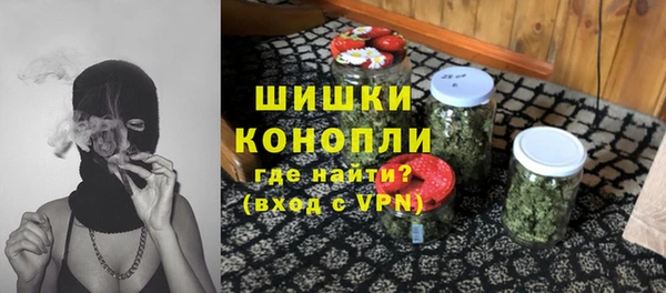 тгк Корсаков